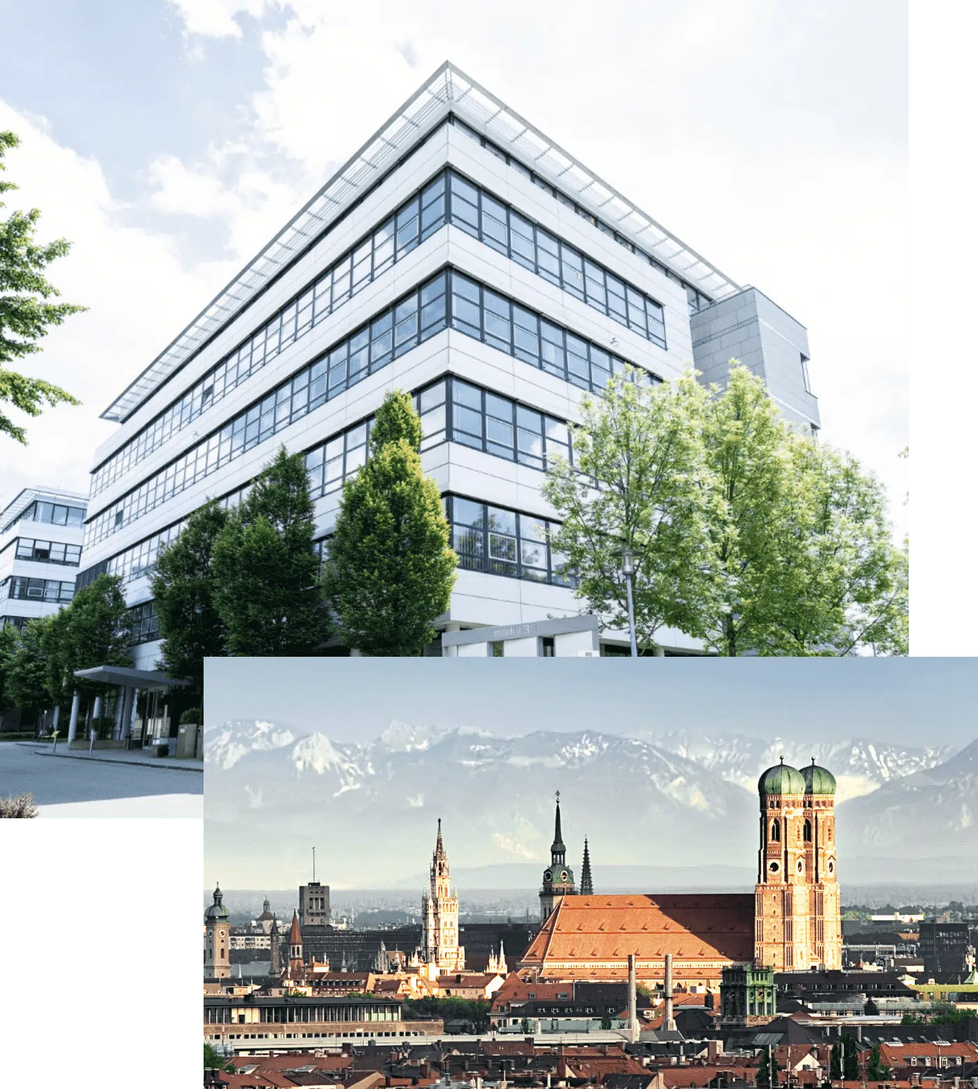 tzn digital Team im Münchner Büro