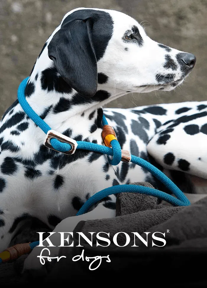 Kensons for dogs